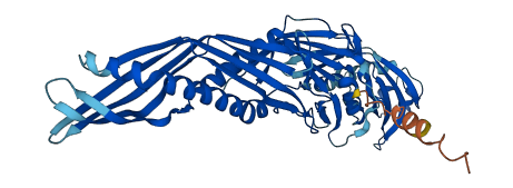 LBP 3D structure
