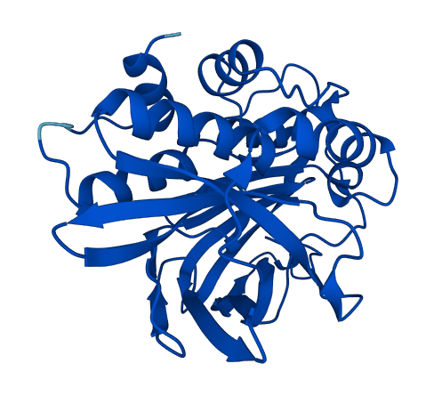 NAT1 3D structure