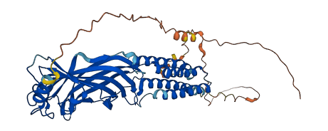 GABRG2 3D structure