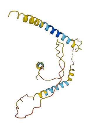 ADCYAP1 3D structure