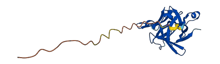 IL1RN 3D structure