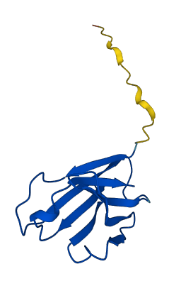 Ighv3-6 3D structure