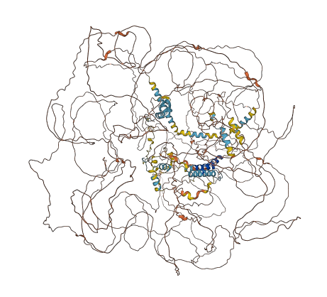 SON 3D structure