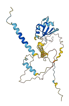 NELFE 3D structure