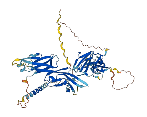 LAG3 3D structure