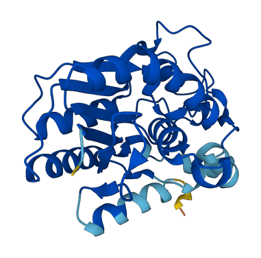 PGAM1 3D structure