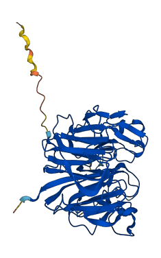 RCC1 3D structure