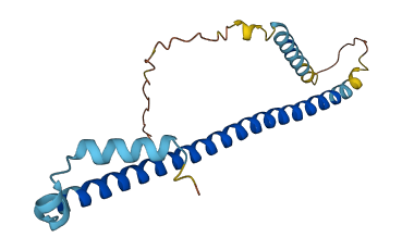 ATF3 3D structure