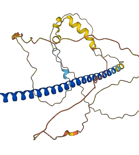 ATF4 3D structure