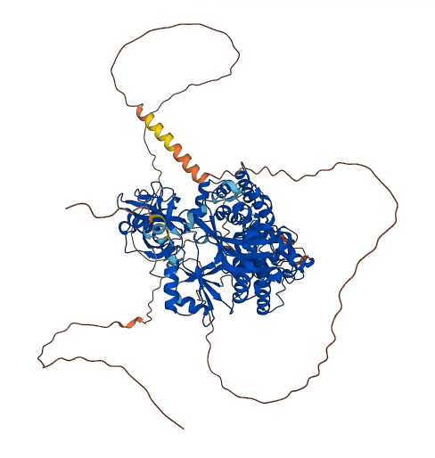 LIG1 3D structure
