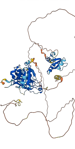 XRCC1 3D structure