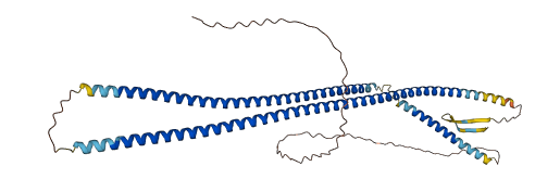 KRT15 3D structure