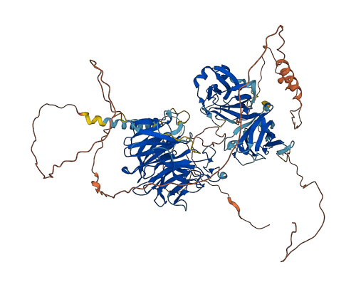 PAM 3D structure