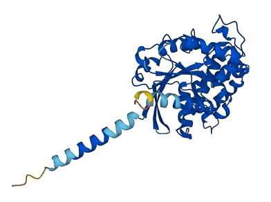 GNAT2 3D structure