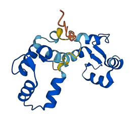 MYL12A 3D structure