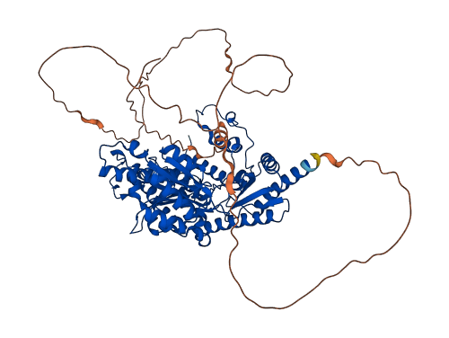 HDC 3D structure