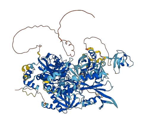 PLCG1 3D structure
