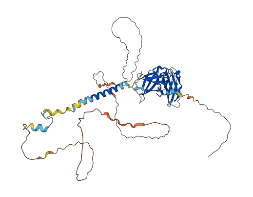 EPOR 3D structure