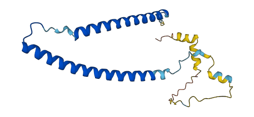 TNNI1 3D structure