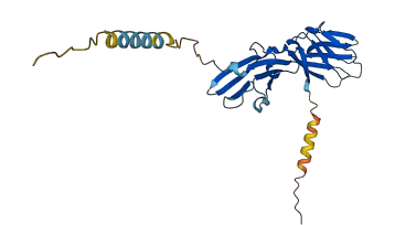 CD58 3D structure