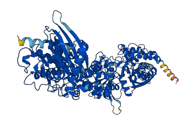 HK1 3D structure