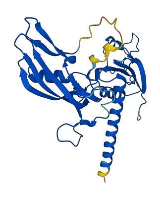 POLR2C 3D structure