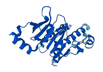 POLR2E 3D structure