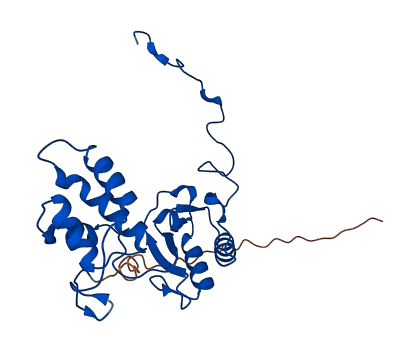 NDUFV2 3D structure