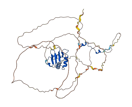 ELK1 3D structure