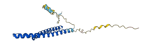 TNNI3 3D structure
