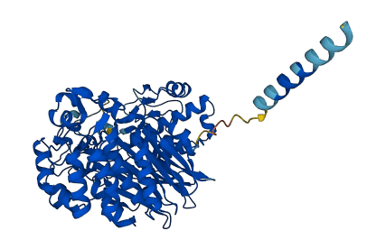 GGT1 3D structure