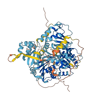 ERCC3 3D structure