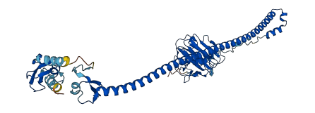TRIM21 3D structure