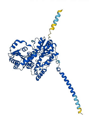 Ugt2b37 3D structure