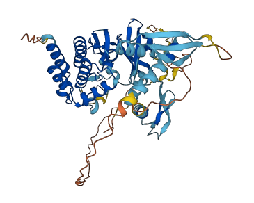 EIF2AK2 3D structure