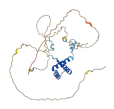 EN2 3D structure
