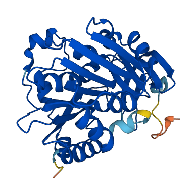 SRM 3D structure