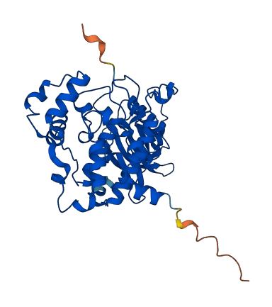 CSNK2A2 3D structure