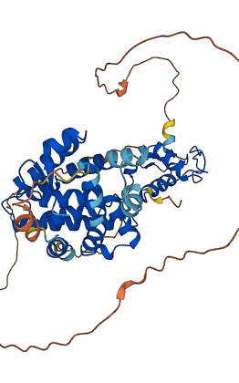 RXRA 3D structure