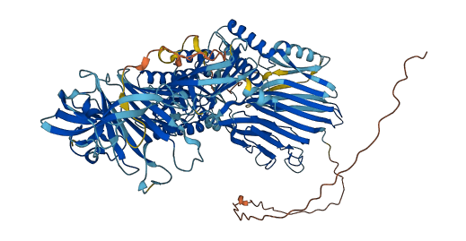 ITIH2 3D structure