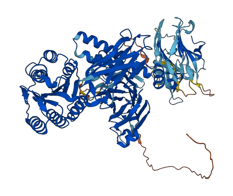 ITIH1 3D structure