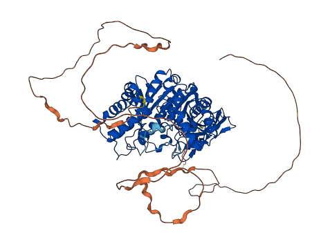 CEL 3D structure