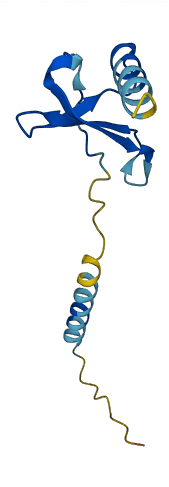 CXCL2 3D structure