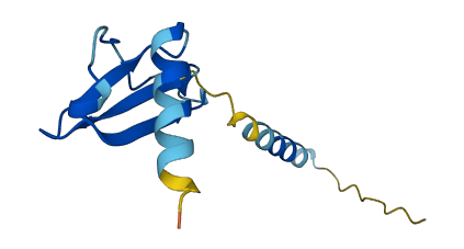 CXCL3 3D structure