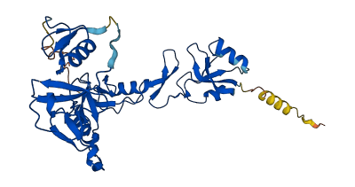 FST 3D structure