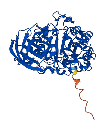 AMY2B 3D structure
