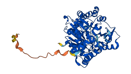 TYMP 3D structure
