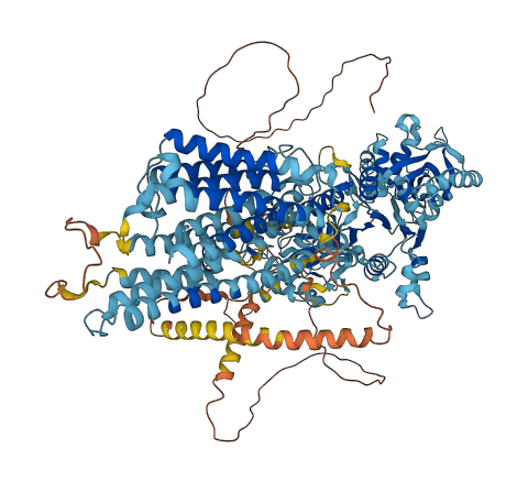 ATP2B1 3D structure