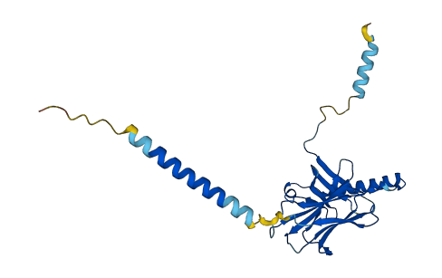 RT1-Ba 3D structure