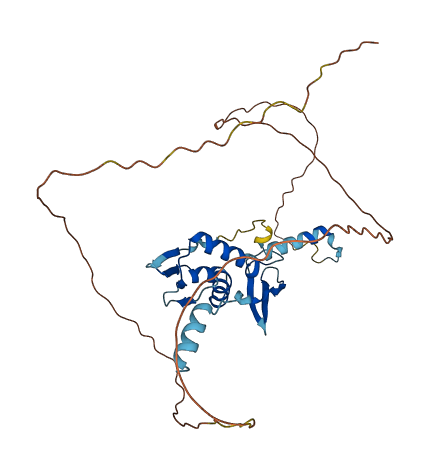 EIF2S2 3D structure